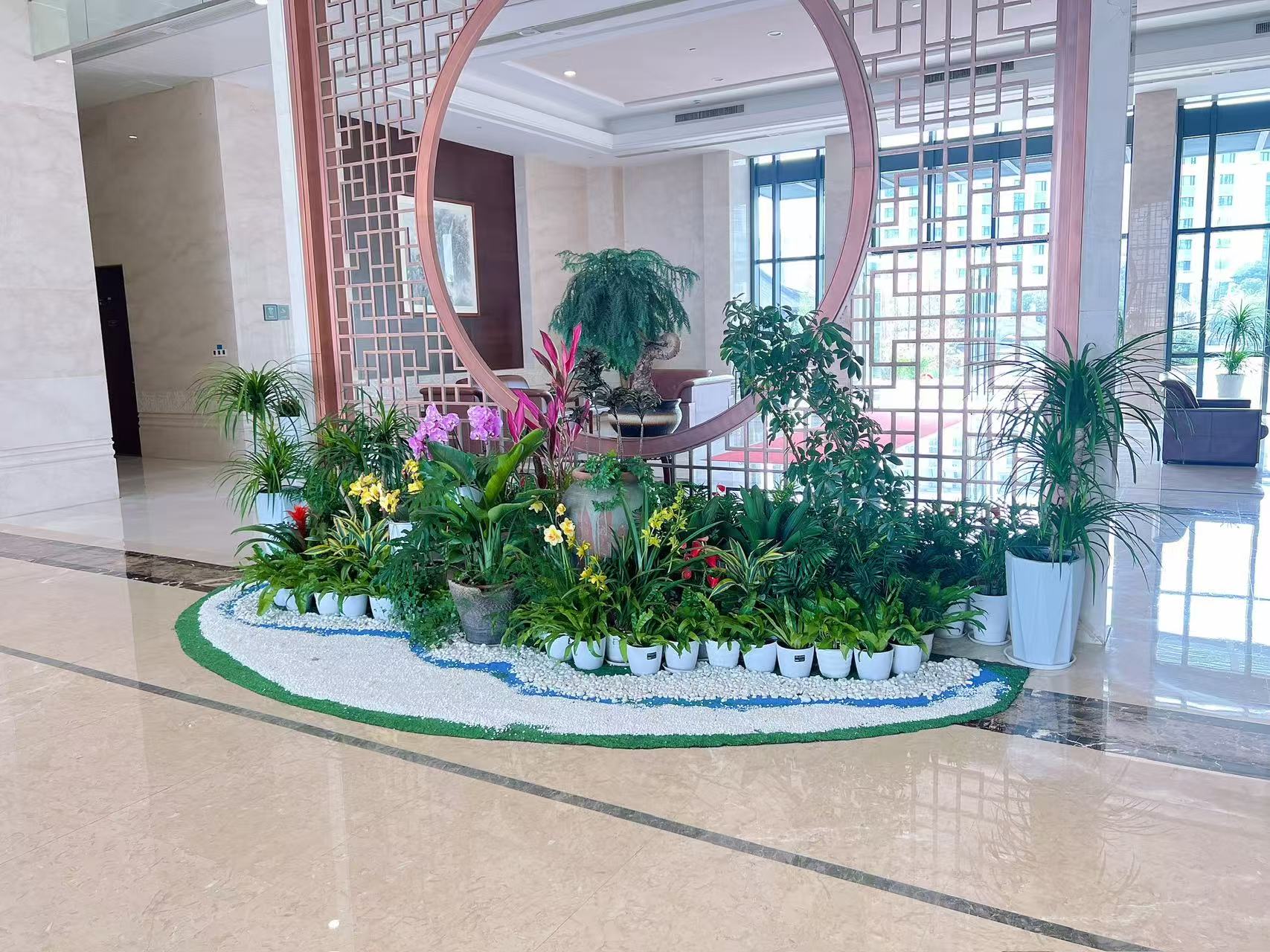 想拥有好服务的植物出租？宁波杭州湾别错过！